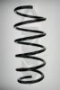 SPIDAN 56784 Coil Spring